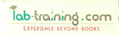 Lab-training.com (label) Device mark 2707525 Trademark