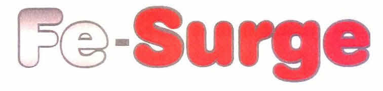 Fe-surge Device mark 2888158 Trademark