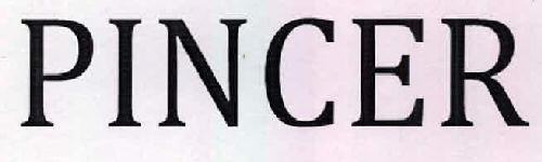Pincer Device mark 2449162 Trademark