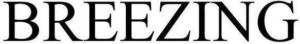 Breezing Device mark 2900818 Trademark