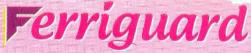 Ferriguard Device mark 2943031 Trademark
