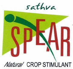 Sathva Spear Device mark 2361981 Trademark