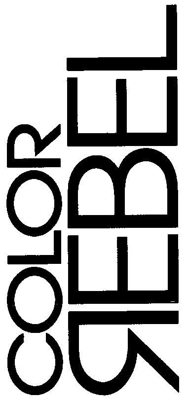 Color Rebel Device mark 2840492 Trademark