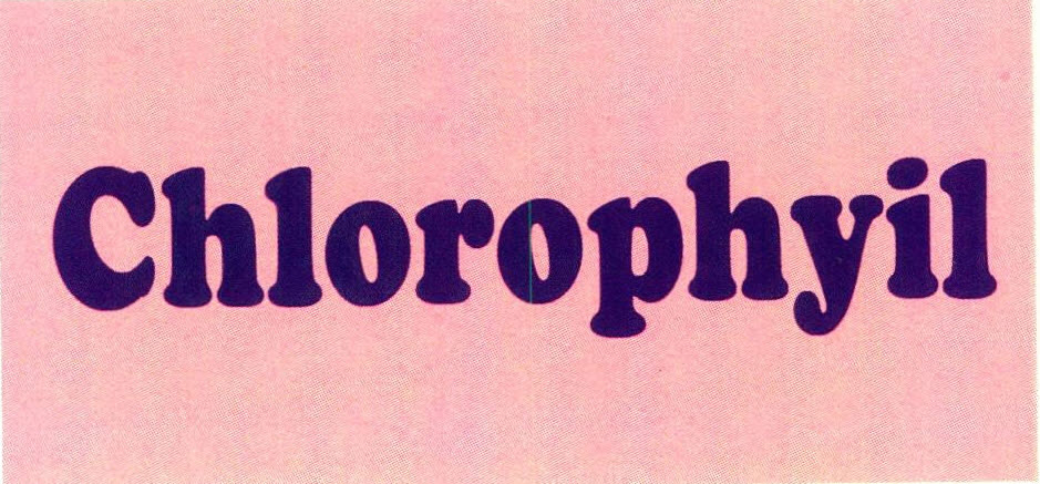 Chlorophyil Device mark 2588240 Trademark