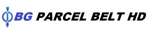 Bg Parcel Belt Hd Device mark 6559933 Trademark
