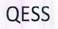 Qess Device mark 2581991 Trademark