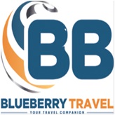 Blueberry Travel Device mark 6563186 Trademark