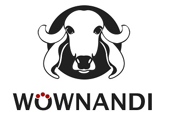 Wownandi Device mark 6563553 Trademark