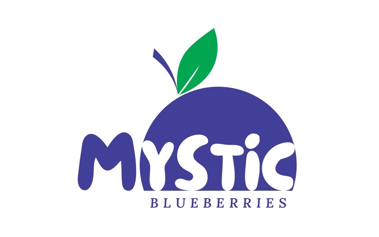 Mystic Blueberries Device mark 6563709 Trademark