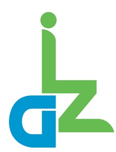 Diz Device mark 2961562 Trademark