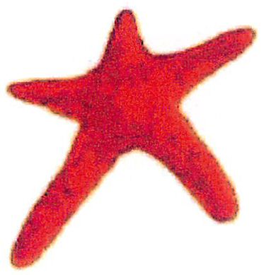 Device Device mark 3564260 Trademark