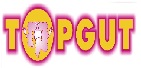 Topgut Device mark 2840847 Trademark