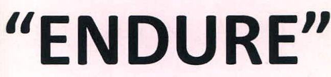 "endure" Device mark 2818031 Trademark