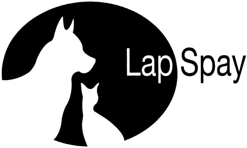 Lap Spay Device mark 4099626 Trademark
