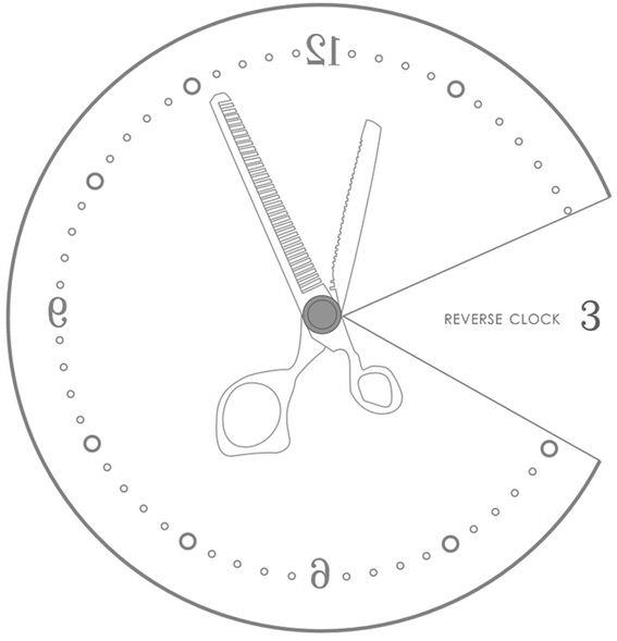 Reverse Clock Device mark 4464596 Trademark