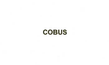 Cobus Device mark 2054558 Trademark