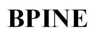 Bpine Device mark 2105012 Trademark