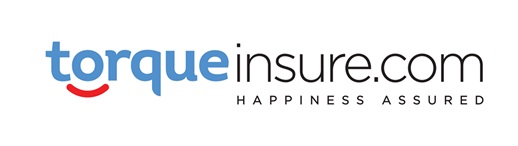Torqueinsure.com Device mark 6573031 Trademark