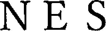 Nes Device mark 4109235 Trademark