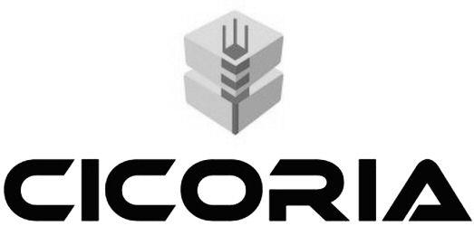 Cicoria Device mark 3877562 Trademark