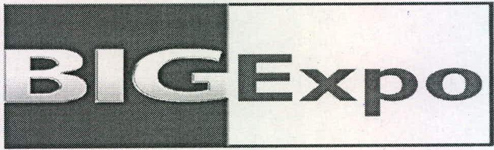 Big Expo Device mark 2228969 Trademark