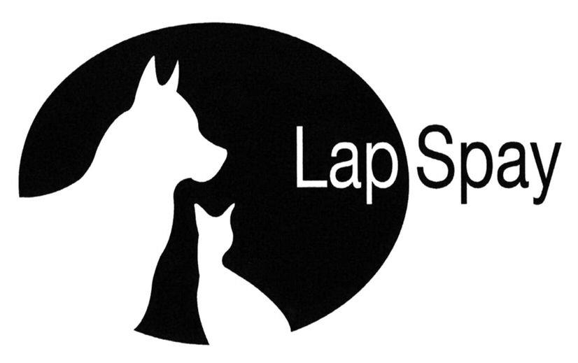 Lap Spay Device mark 3985760 Trademark