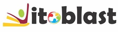 Vitoblast Device mark 2848221 Trademark