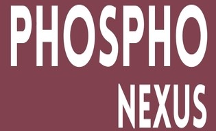 Phosphonexus Device mark 6588740 Trademark