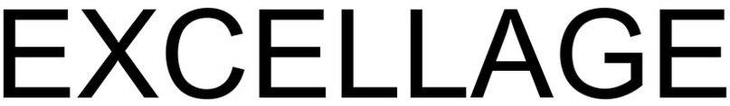 Excellage Device mark 4165171 Trademark
