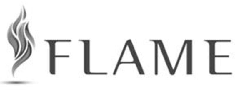 Flame Device mark 3390778 Trademark