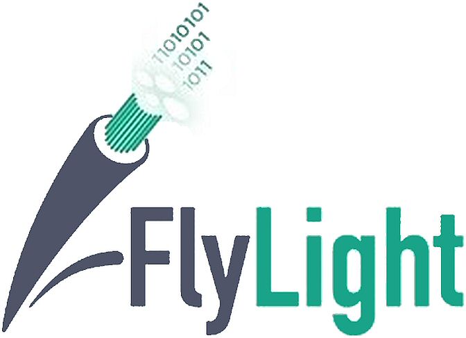 Flylight Device mark 4353644 Trademark