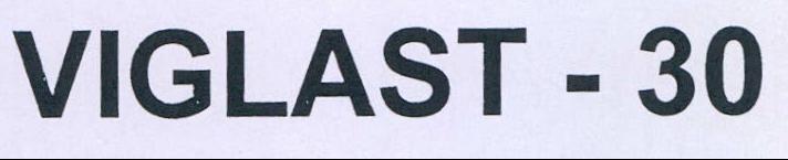 Viglast - 30 Device mark 2205289 Trademark