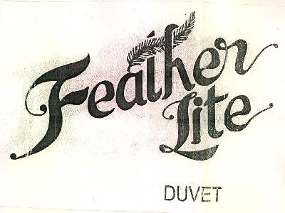 Feather Lite Duvet Device mark 2621848 Trademark