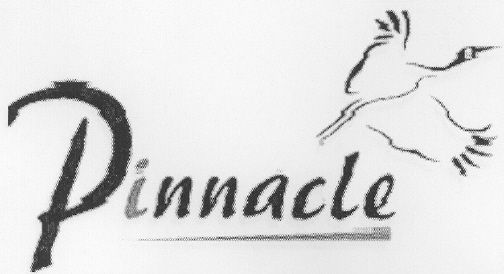Pinnacle (device Of Bird) Device mark 2171006 Trademark