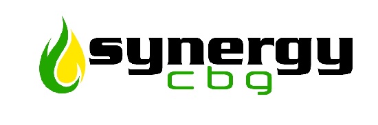 Synergy Cbg With Unique Logo Device mark 6599645 Trademark