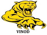 Vinod Device mark 6602148 Trademark