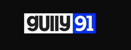 Gully91 Device mark 6605704 Trademark