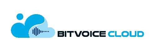 Bitvoice Cloud Device mark 6605767 Trademark