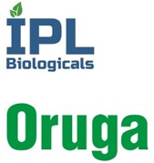 Ipl Biologicals Oruga Device mark 6615316 Trademark