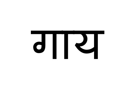 Gaay Device mark 6617110 Trademark