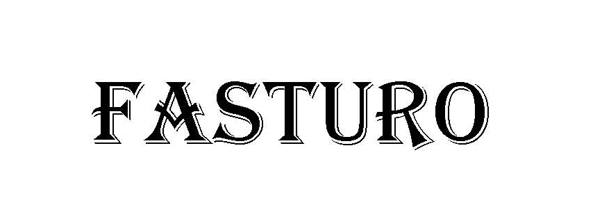 Fasturo Device mark 2912522 Trademark