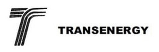 Transenergy Logo Device mark 6617749 Trademark