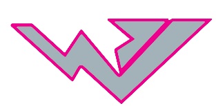W Device Device mark 6618522 Trademark