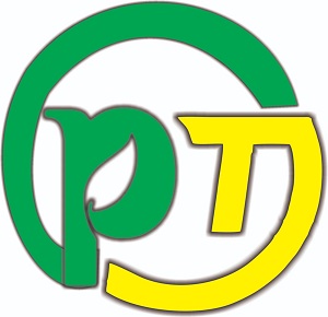 Pt Device mark 6626011 Trademark