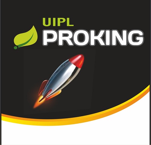 Uipl Proking Device mark 6626501 Trademark