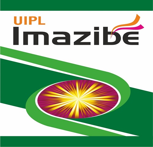 Uipl Imazibe Device mark 6626510 Trademark