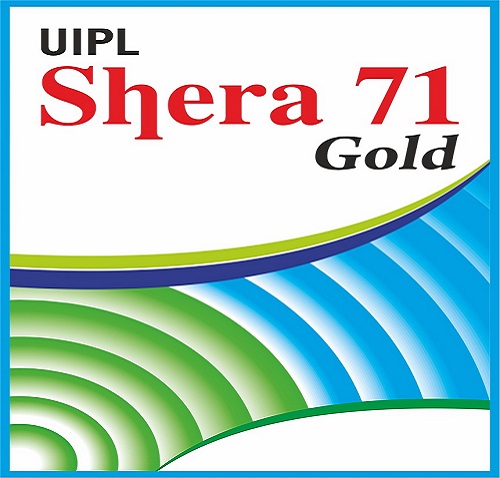 Uipl Shera 71 Gold Device mark 6626526 Trademark
