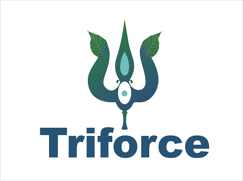 Triforce Device mark 6631804 Trademark