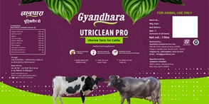 Gyandhara Utriclean Pro Device mark 6634409 Trademark