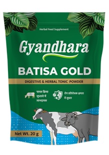 Gyandhara Batisa Gold Device mark 6634407 Trademark